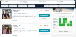 เรียนภาษาอินโดนีเซีย Preply Indonesian